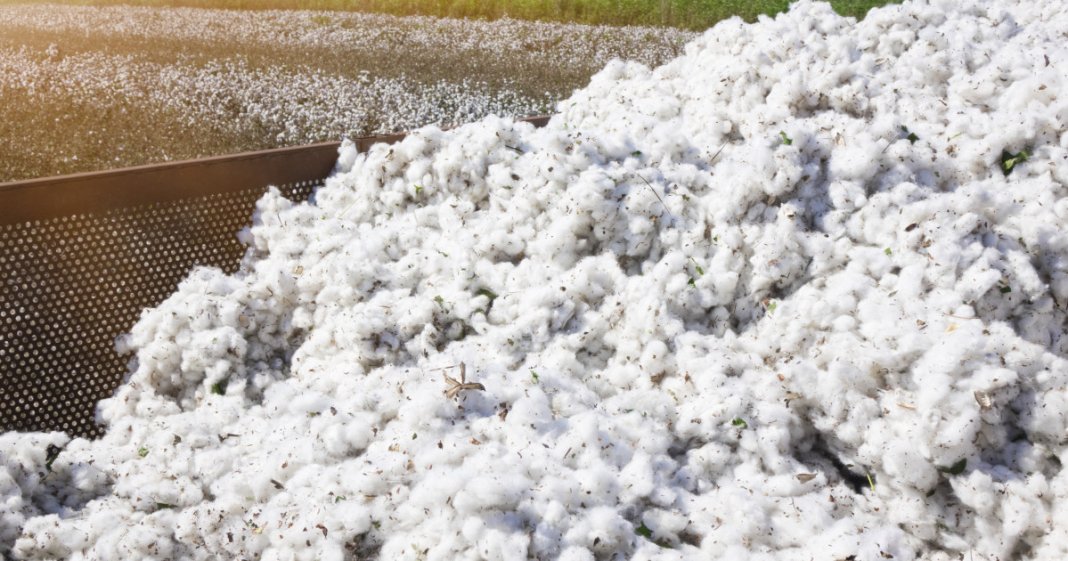 Guvernul va achita o obligație veche de peste 30 de ani față de SUA, legată de un împrumut pentru importul de bumbac.