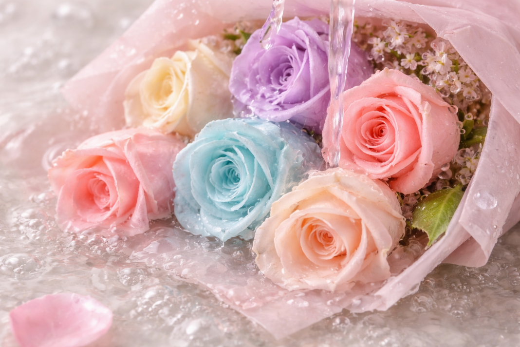 Ce se întâmplă dacă trandafirii din săpun intră în contact cu apa Ce se întâmplă dacă trandafirii din săpun intră în contact cu apa