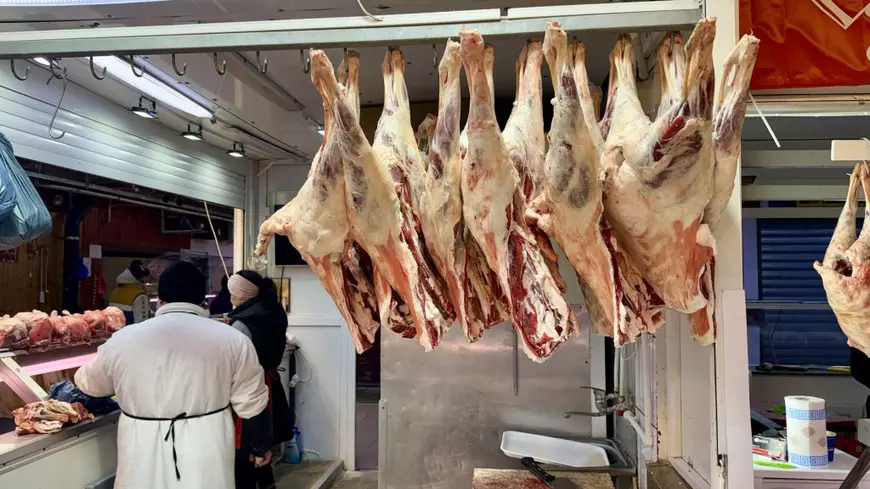 Prețul mieilor pentru Paște 2026: Care este prețul pe kilogram pentru carnea de miel în București? Prețul mieilor pentru Paște 2026: Care este prețul pe kilogram pentru carnea de miel în București?