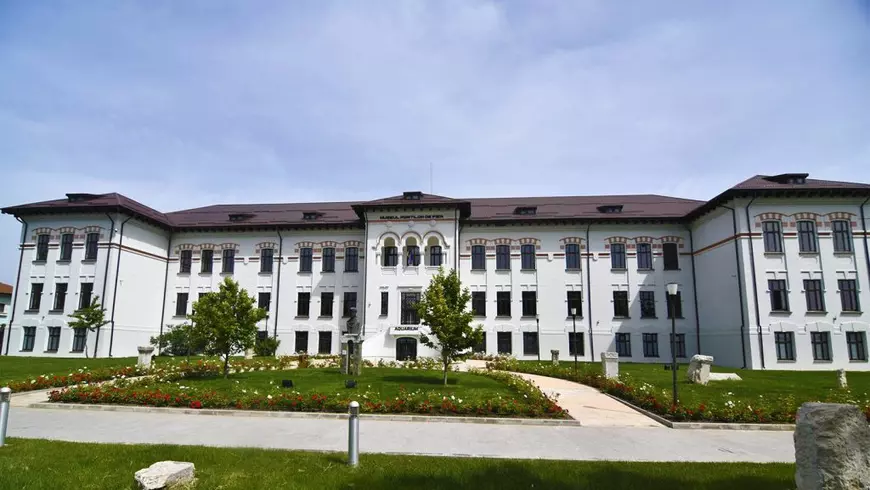 Furtul a 552 de piese de patrimoniu din aur și argint de la muzeul din Drobeta Turnu Severin