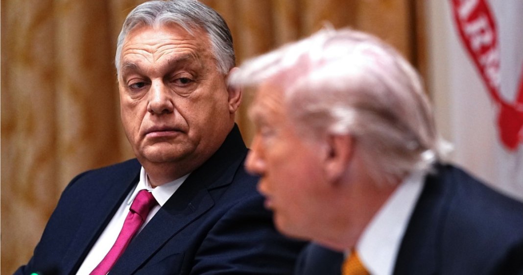 Înfrângerea lui Viktor Orban generează probleme pentru Donald Trump. Președintele SUA se confrontă cu...