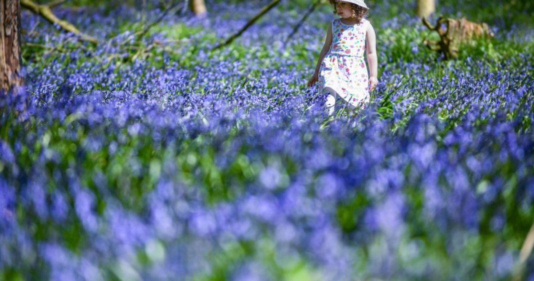 Prognoza vremii pentru săptămânile următoare: temperaturi mai ridicate decât cele obișnuite pentru acest interval, potrivit specialiștilor în meteorologie.